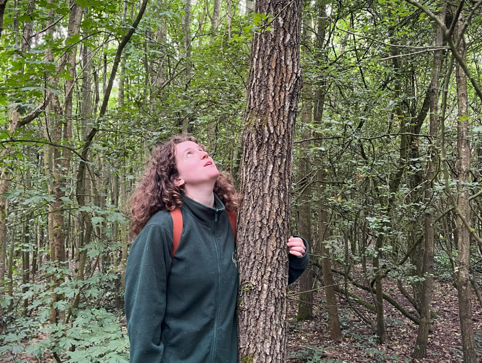 A person holding a tree in a young woodland