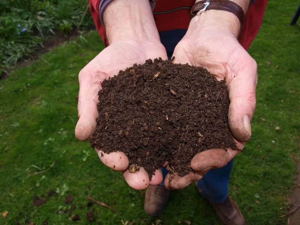 How to start composting