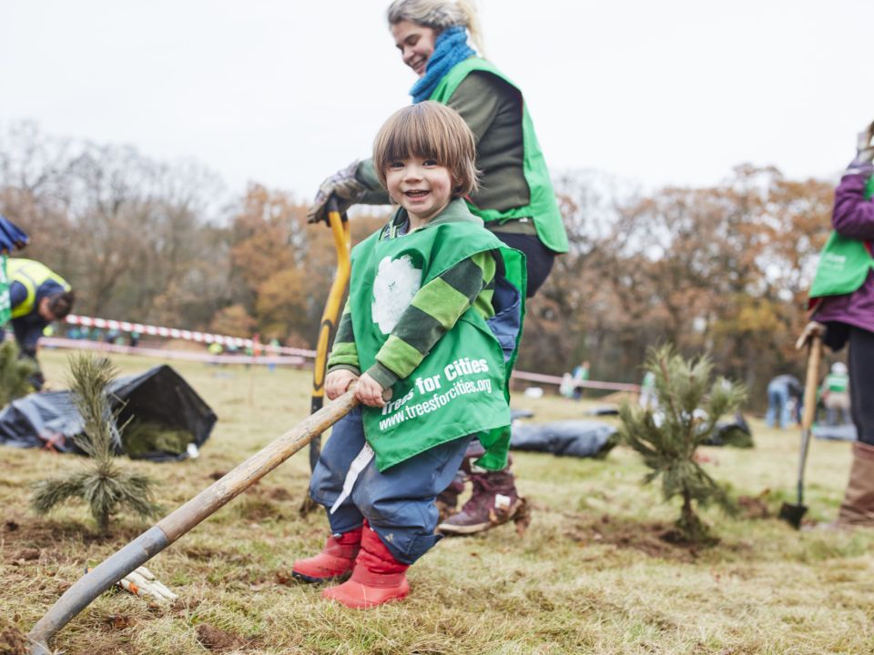 From London to Leeds: How many trees did YOU plant in one week?