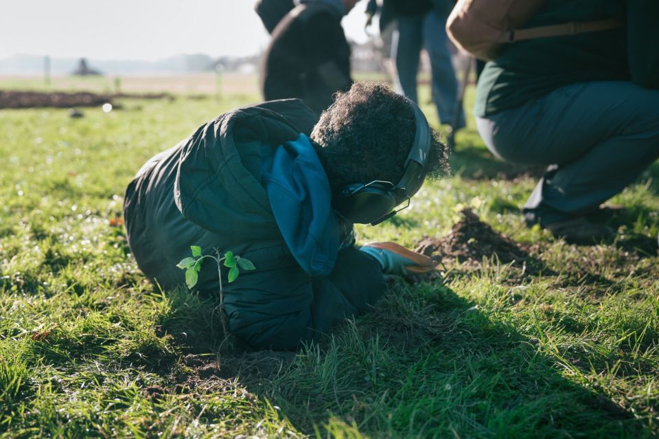a child wearing headphones laying on the grass next to some freshly planted baby trees