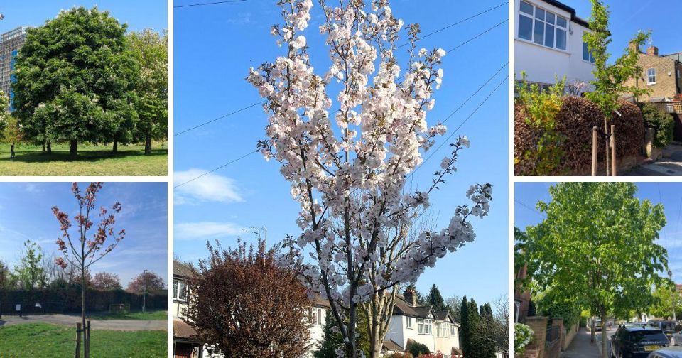 Spring submissions 2025
