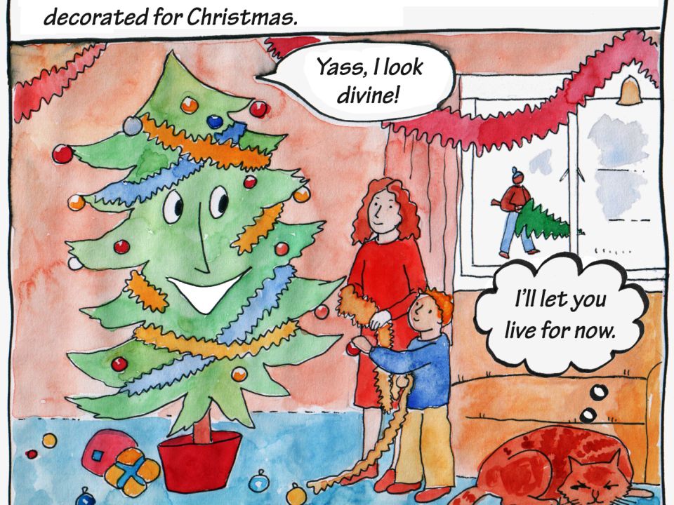 The life of a Christmas tree