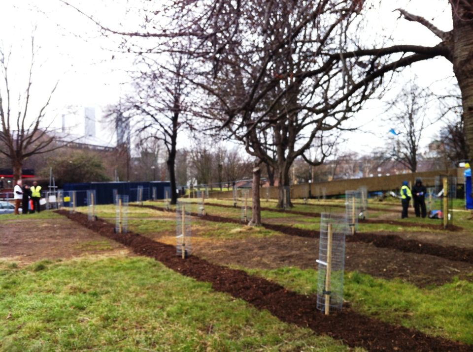 St Georges planting day 1213 013