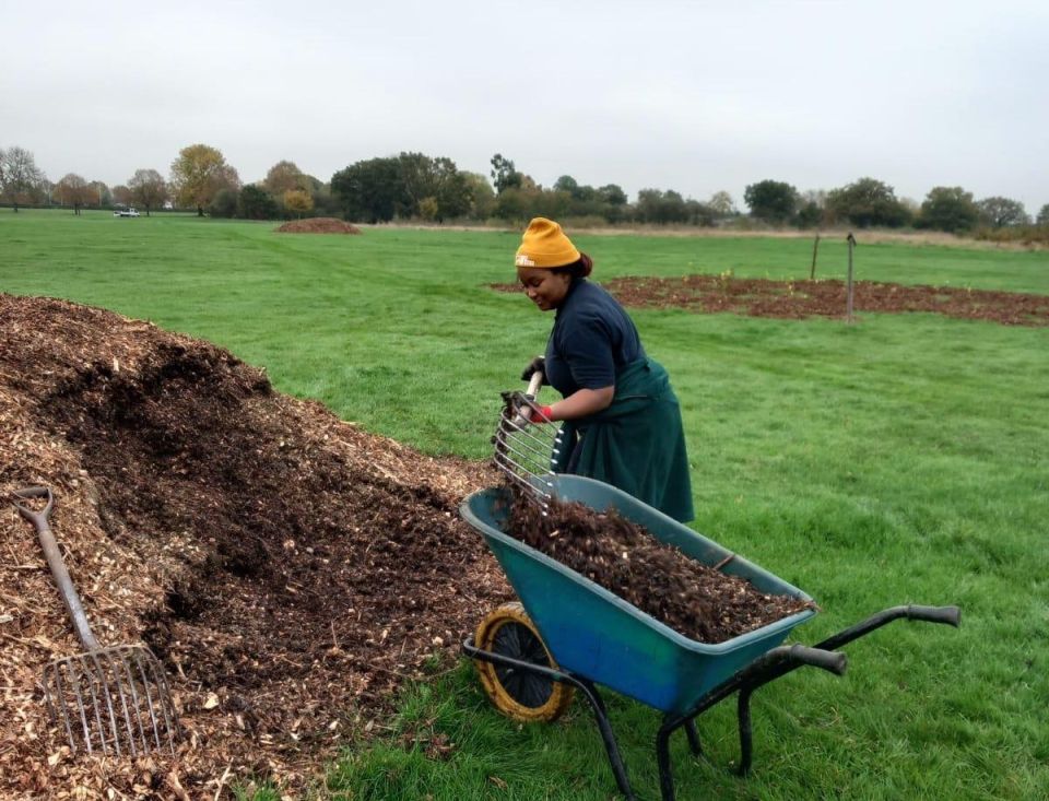 Bolaji in a field next to a pile of mulch