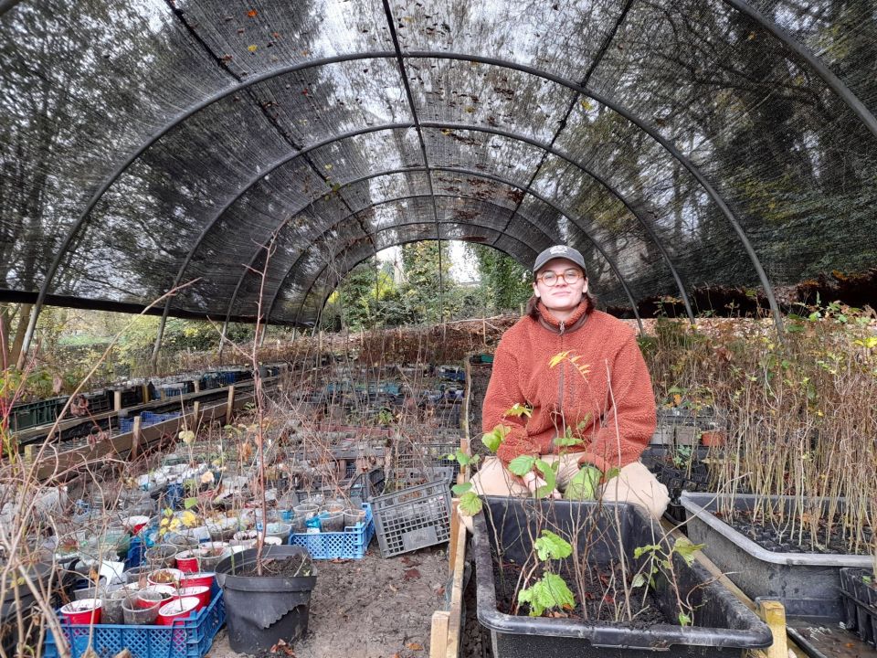 Nov 24 Trainee tree nursery and wanderin woodland piolt box MF 2