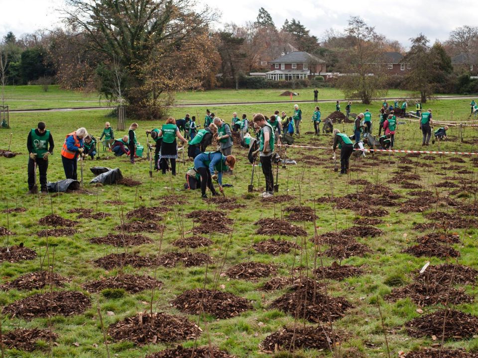 London’s largest ever planting event