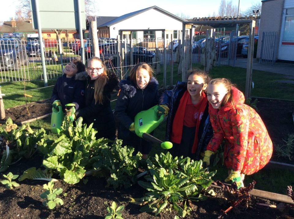 Blessed Sacrament Plant Watering