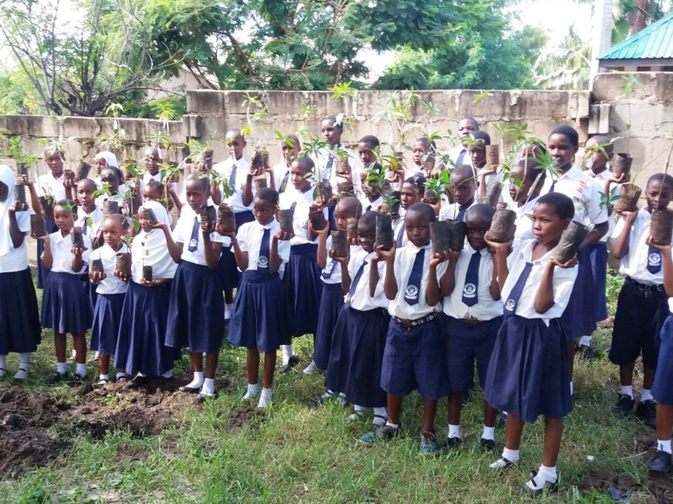 Greener Spaces for Schools in Dar es Salaam