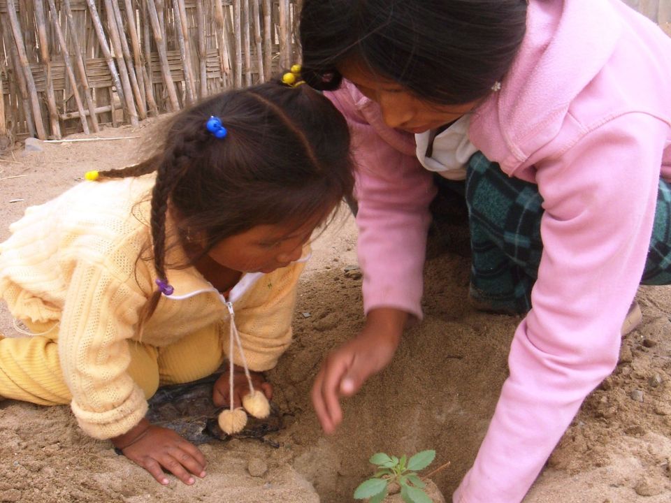 seeds that will flower for generations