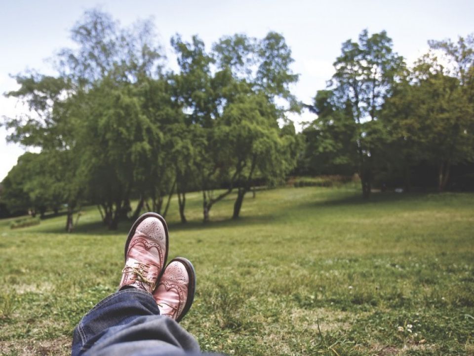 5 reasons to make spending time with trees your New Year’s resolution