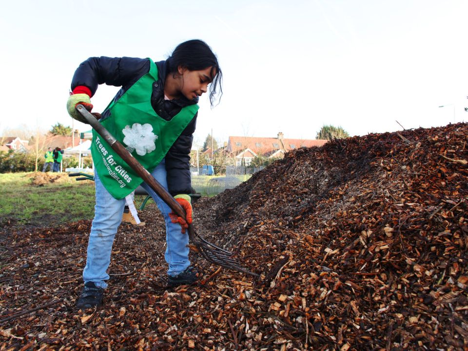 Kicking off National Tree Week by greening Redbridge