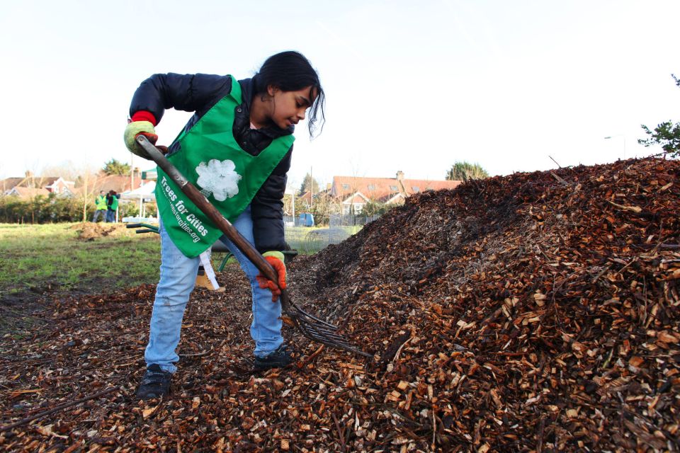 Trees For Cities Commuity Orchard At Roding Valley Redbridge Copy Image