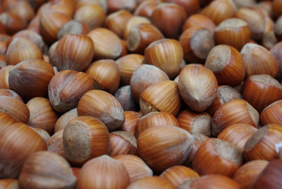 Hazelnuts 1339881 1920