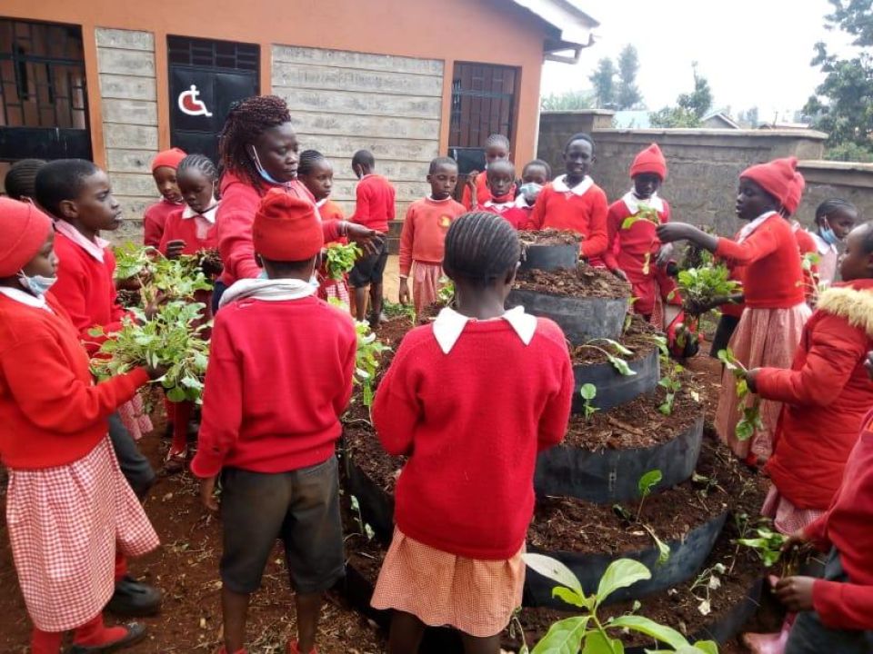 Transplating on vertical gardens at Gachie primary