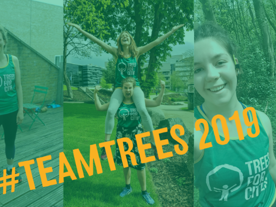 Meet our Team Trees Class of 2019!