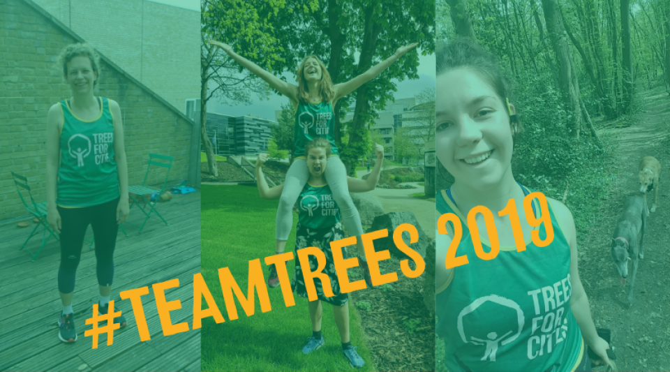 Team Trees 2019 1