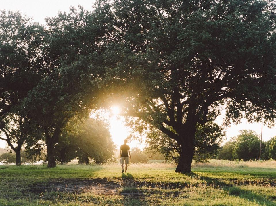 Man walking during sunrise 730894 200401 113705 0fdd18ba2bf4890d64d12902ca97caa6