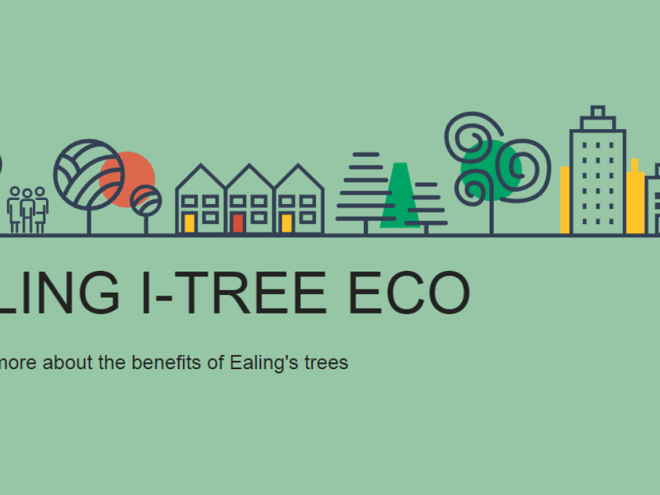 Valuing Ealing's Urban Trees