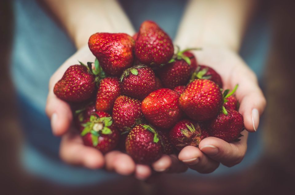 Strawberries 1835934 1920