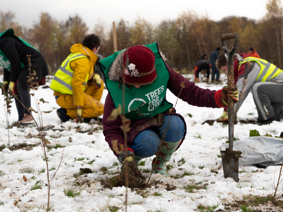 What we got up to in National Tree Week 2021