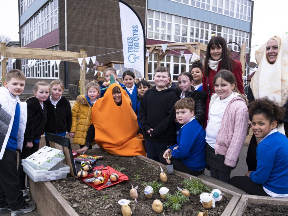 children and teachers gathered around a raised bed in a school playground, read to plant