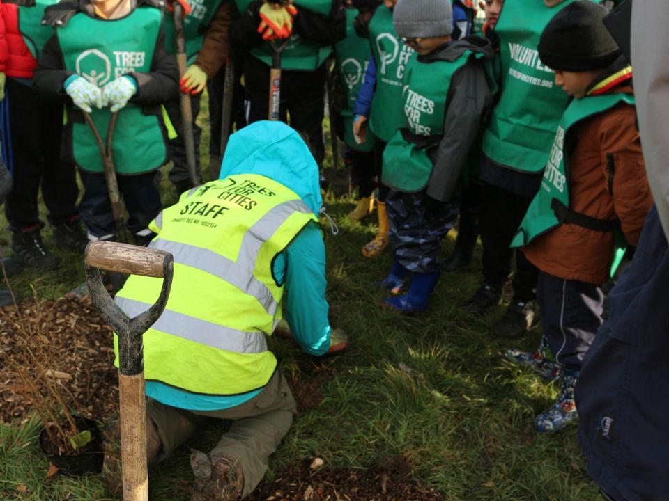 WYKE TREE PLANTING DAY