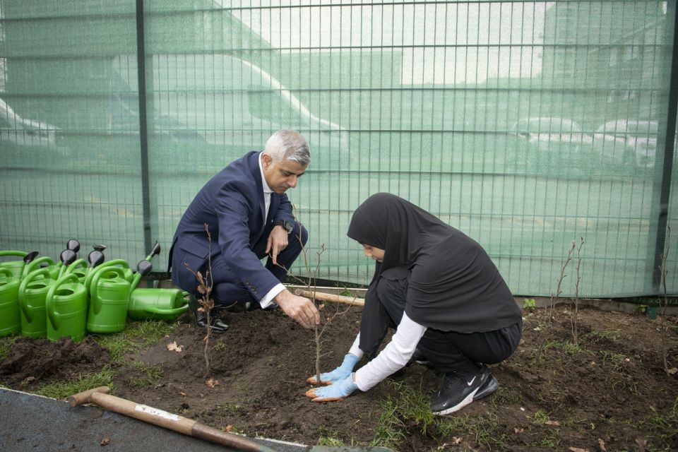 Tree Planting 217