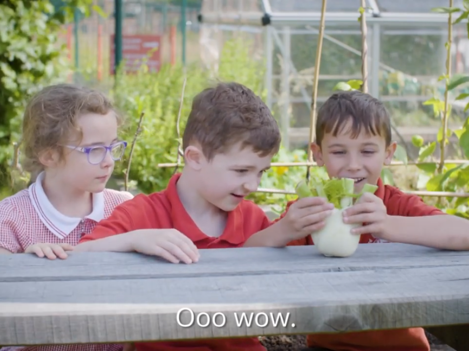 Watch our new Edible Playgrounds film!