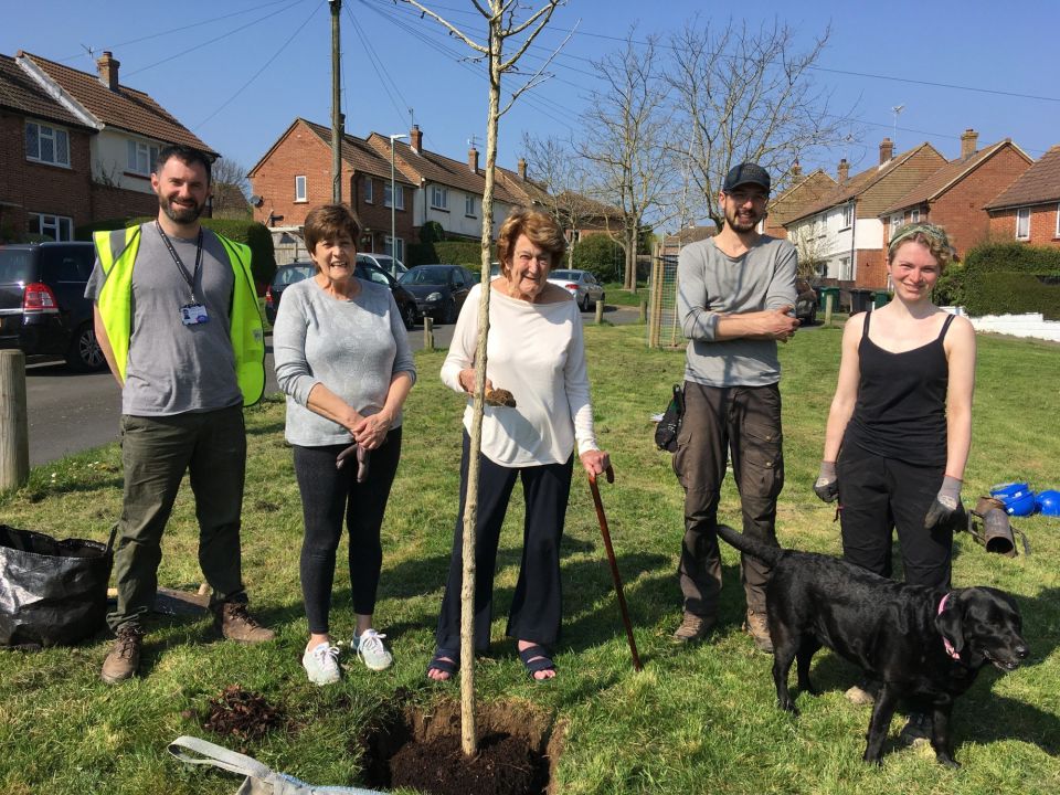 Tree planting brings back fond memories for 92 Year Old resident