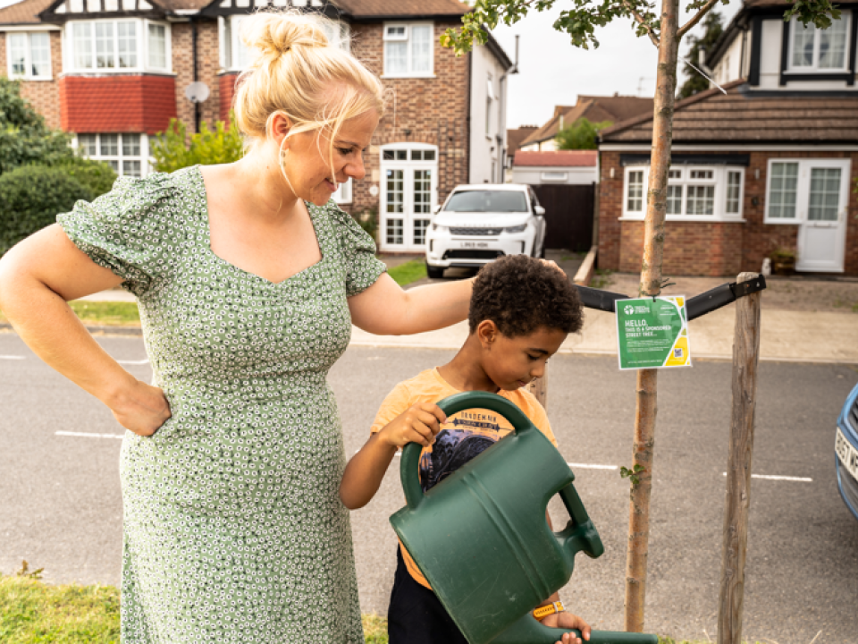 Why it’s so important to water young urban trees