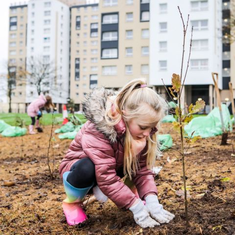 Trees for Schools