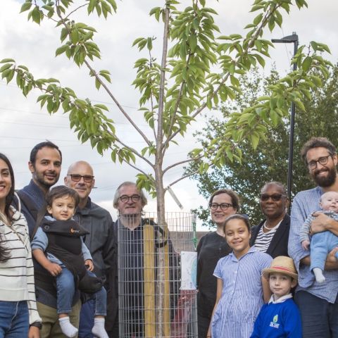 Trees for Streets